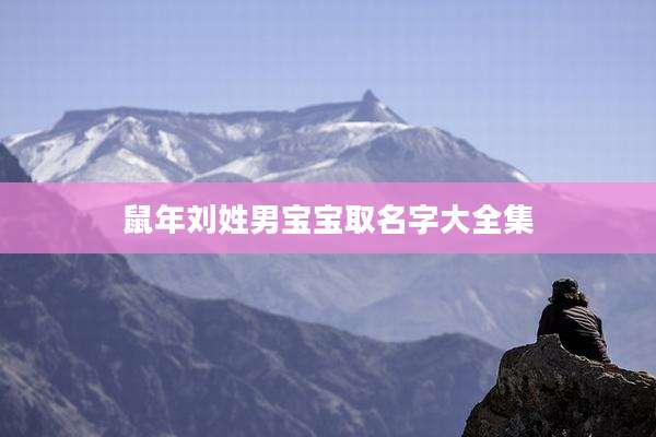 鼠年刘姓男宝宝取名字大全集