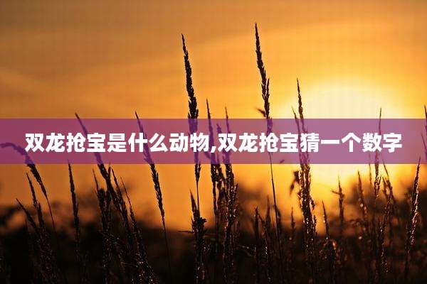 双龙抢宝是什么动物,双龙抢宝猜一个数字