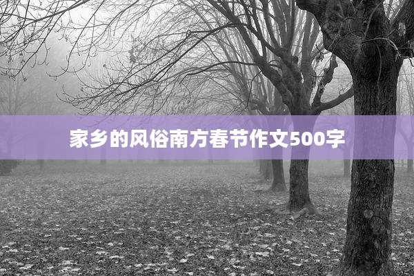 家乡的风俗南方春节作文500字