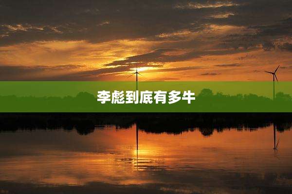 李彪到底有多牛