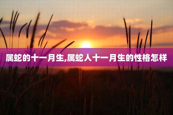 属蛇的十一月生,属蛇人十一月生的性格怎样