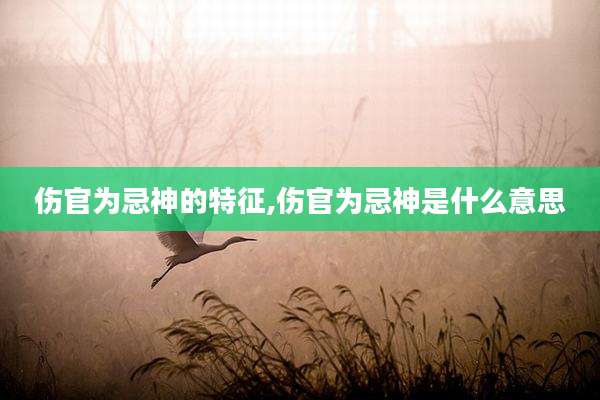 伤官为忌神的特征,伤官为忌神是什么意思