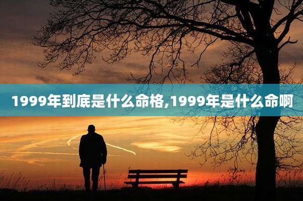 1999年到底是什么命格,1999年是什么命啊