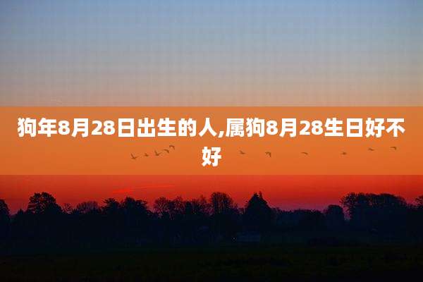 狗年8月28日出生的人,属狗8月28生日好不好