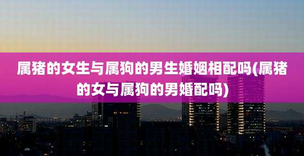 属猪的女生与属狗的男生婚姻相配吗(属猪的女与属狗的男婚配吗)