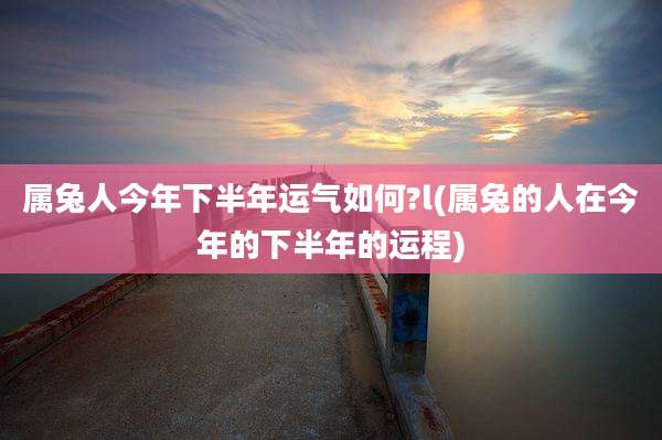 属兔人今年下半年运气如何?l(属兔的人在今年的下半年的运程)