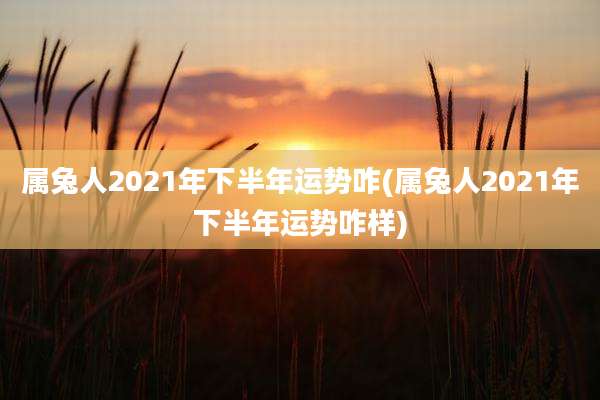 属兔人2021年下半年运势咋(属兔人2021年下半年运势咋样)