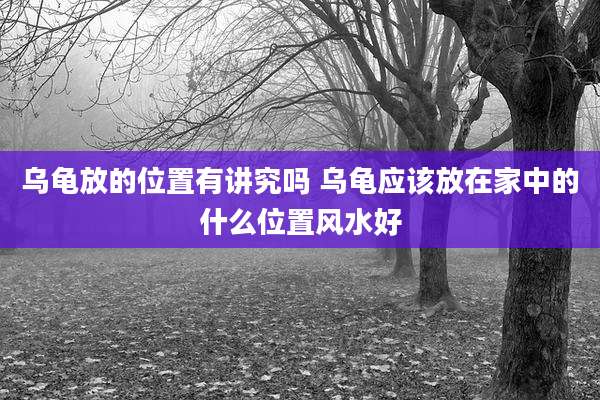 乌龟放的位置有讲究吗 乌龟应该放在家中的什么位置风水好