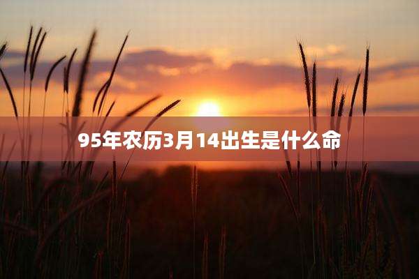 95年农历3月14出生是什么命