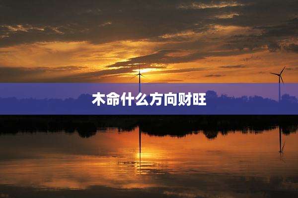木命什么方向财旺