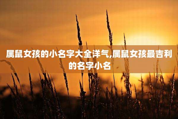 属鼠女孩的小名字大全洋气,属鼠女孩最吉利的名字小名