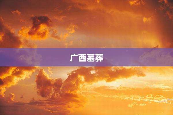 广西墓葬