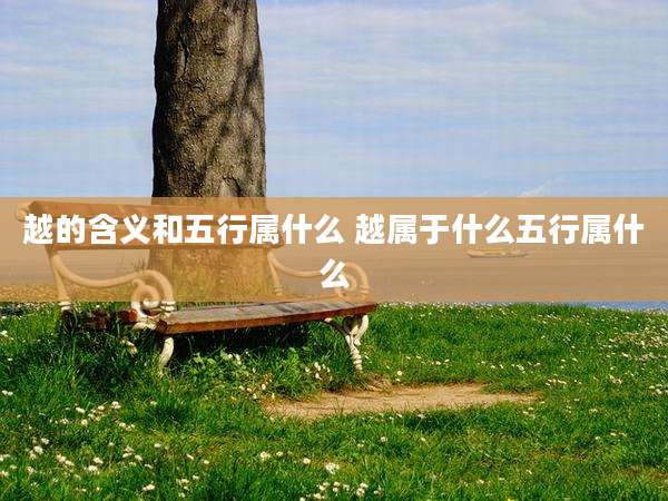 越的含义和五行属什么 越属于什么五行属什么