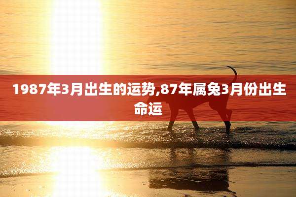 1987年3月出生的运势,87年属兔3月份出生命运