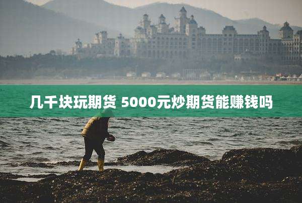 几千块玩期货 5000元炒期货能赚钱吗