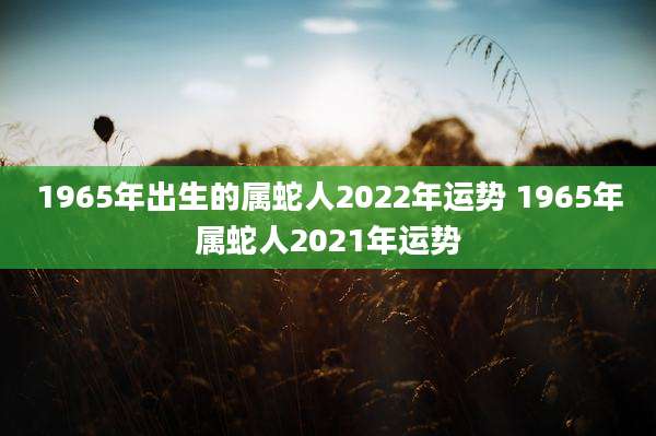 1965年出生的属蛇人2022年运势 1965年属蛇人2021年运势