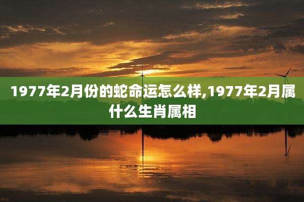 1977年2月份的蛇命运怎么样,1977年2月属什么生肖属相