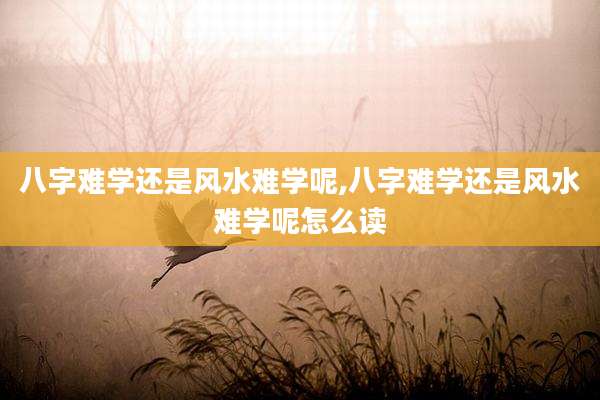 八字难学还是风水难学呢,八字难学还是风水难学呢怎么读