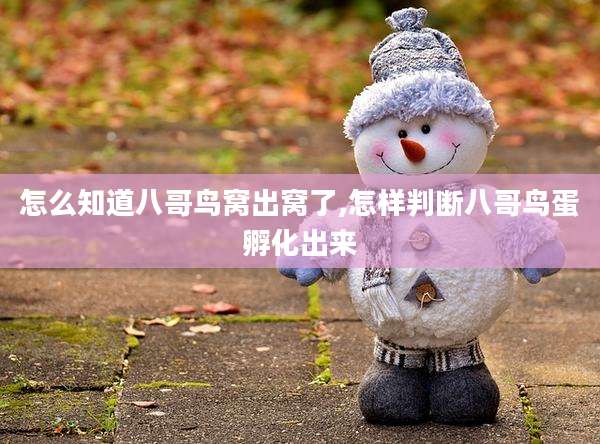 怎么知道八哥鸟窝出窝了,怎样判断八哥鸟蛋孵化出来
