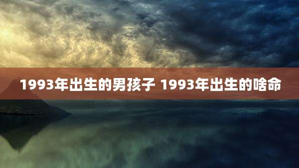 1993年出生的男孩子 1993年出生的啥命