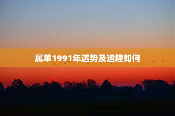 属羊1991年运势及运程如何