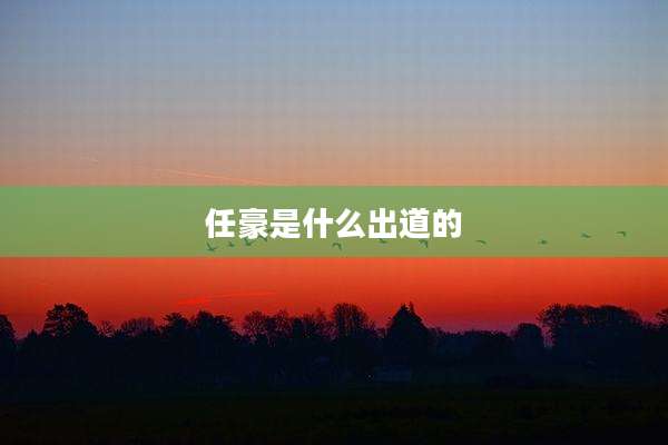 任豪是什么出道的