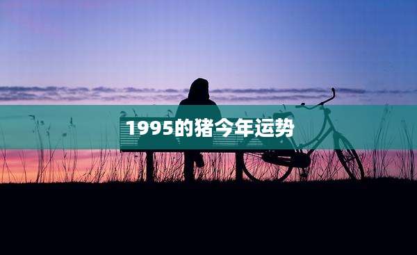 1995的猪今年运势