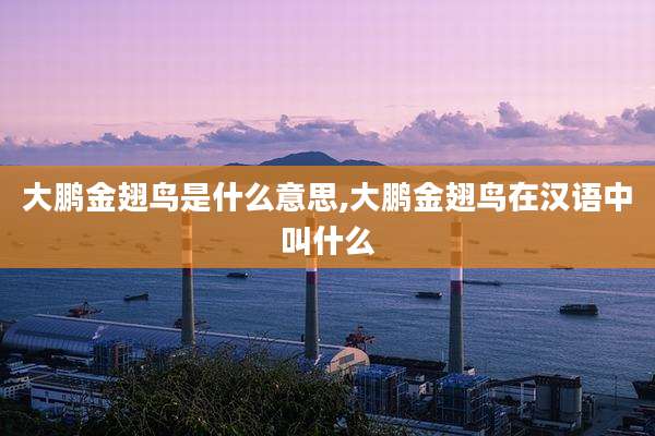 大鹏金翅鸟是什么意思,大鹏金翅鸟在汉语中叫什么