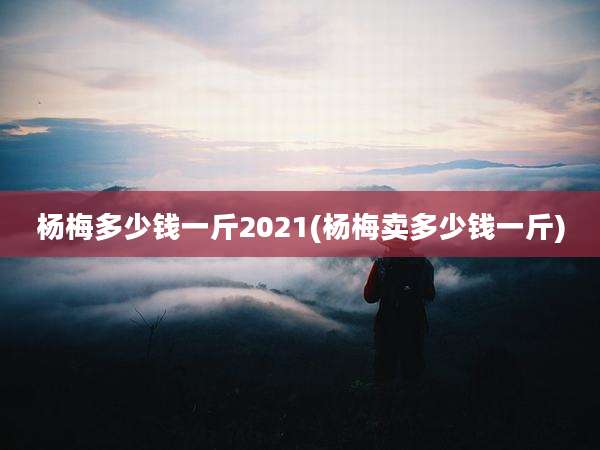 杨梅多少钱一斤2021(杨梅卖多少钱一斤)