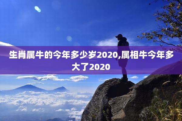 生肖属牛的今年多少岁2020,属相牛今年多大了2020