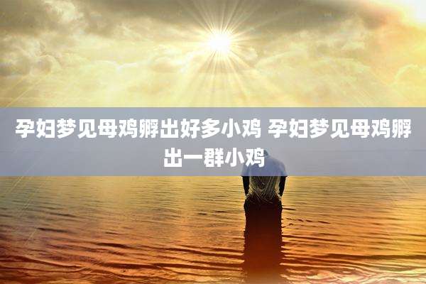 孕妇梦见母鸡孵出好多小鸡 孕妇梦见母鸡孵出一群小鸡