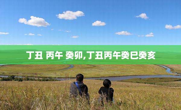 丁丑 丙午 癸卯,丁丑丙午癸巳癸亥