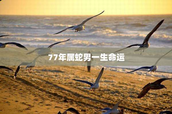 77年属蛇男一生命运