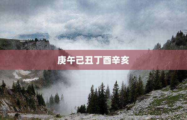 庚午己丑丁酉辛亥