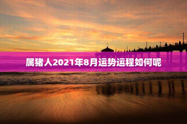 属猪人2021年8月运势运程如何呢