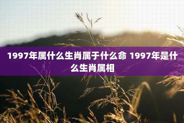 1997年属什么生肖属于什么命 1997年是什么生肖属相