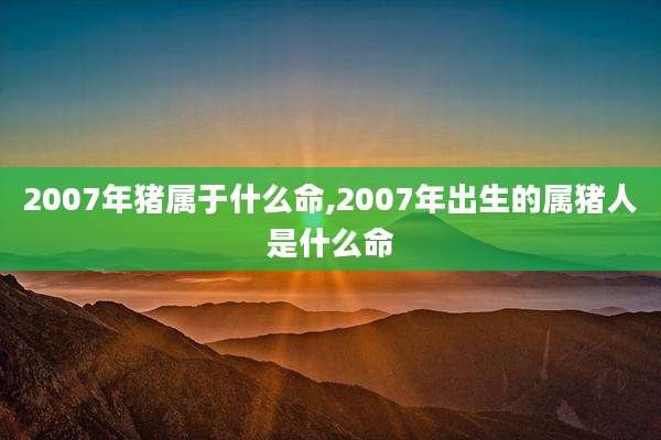 2007年猪属于什么命,2007年出生的属猪人是什么命