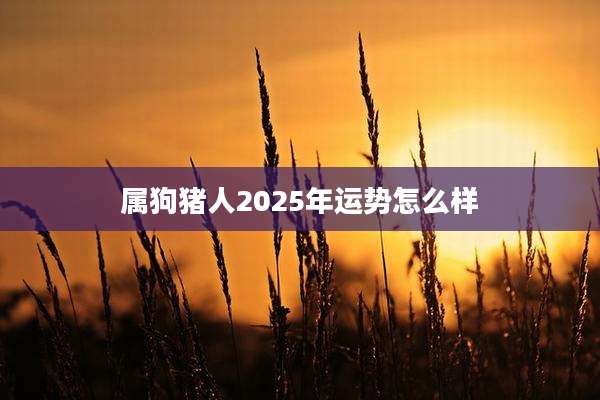 属狗猪人2025年运势怎么样