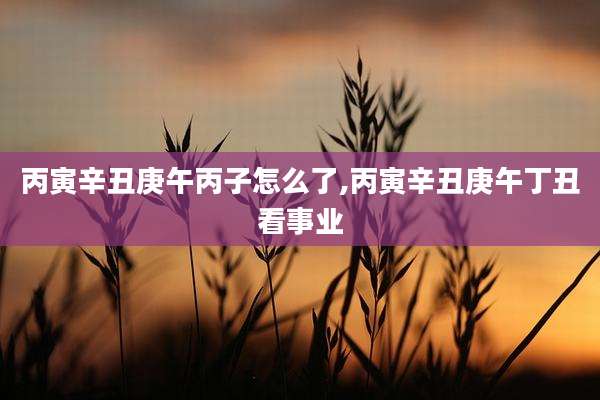 丙寅辛丑庚午丙子怎么了,丙寅辛丑庚午丁丑看事业