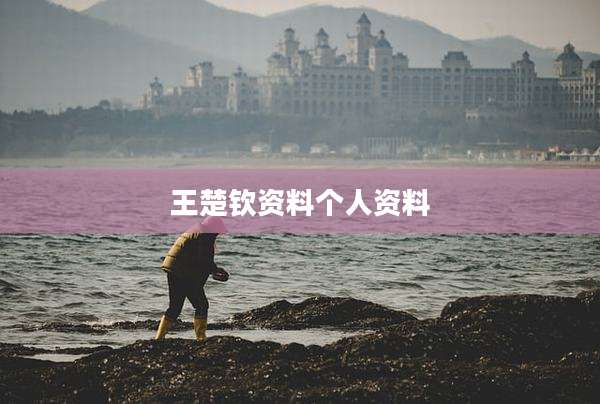 王楚钦资料个人资料
