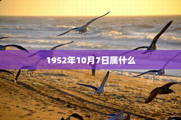 1952年10月7日属什么