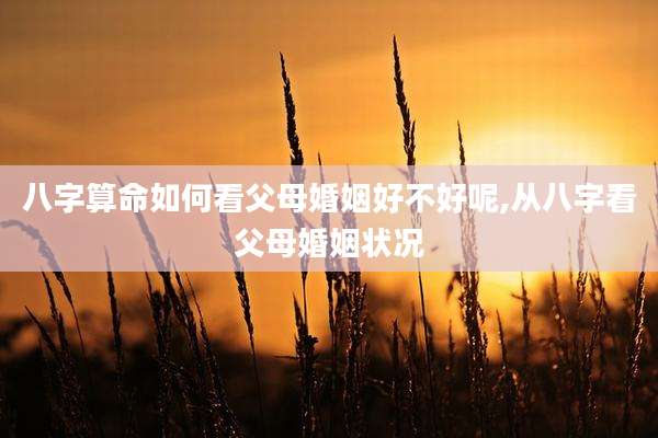 八字算命如何看父母婚姻好不好呢,从八字看父母婚姻状况