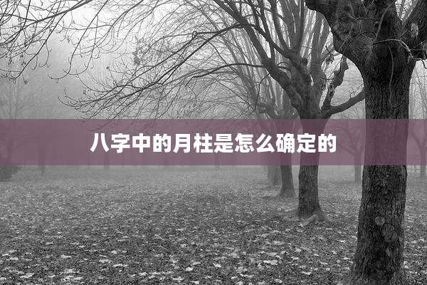 八字中的月柱是怎么确定的