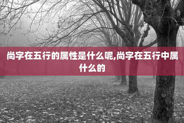 尚字在五行的属性是什么呢,尚字在五行中属什么的