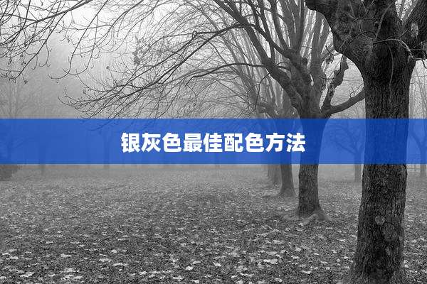 银灰色最佳配色方法