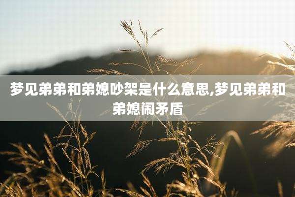梦见弟弟和弟媳吵架是什么意思,梦见弟弟和弟媳闹矛盾