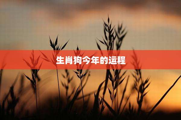 生肖狗今年的运程