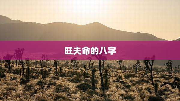 旺夫命的八字