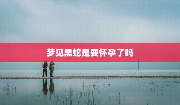 梦见黑蛇是要怀孕了吗