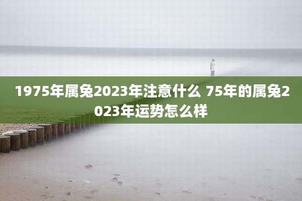 1975年属兔2023年注意什么 75年的属兔2023年运势怎么样